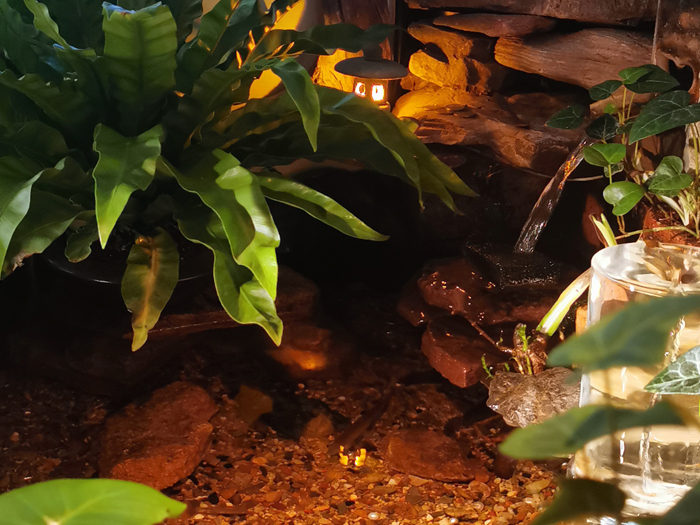 室內(nèi)景觀(guān)